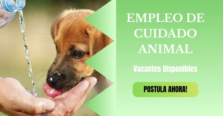 🐶 EMPLEOS EN CUIDADO ANIMAL 🐱